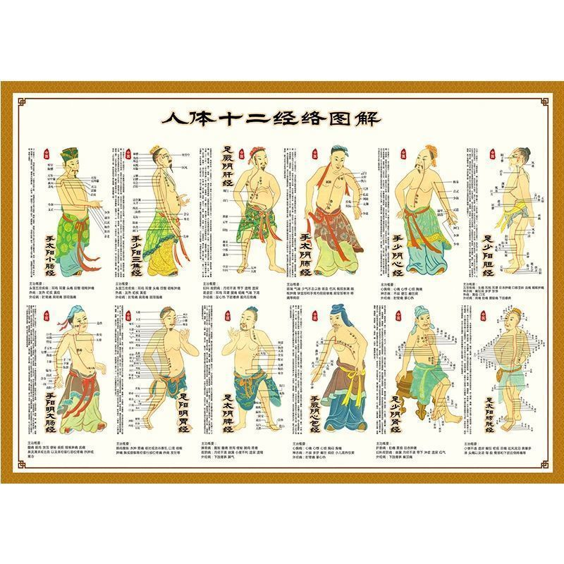 人体十二经络总图